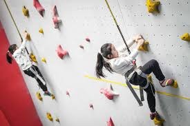 密尔沃基酿酒人投手乔什·海德达成生涯最快 500 次三振纪录